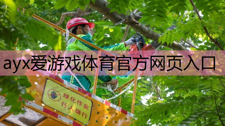 城阳区祥阳路绿化工程