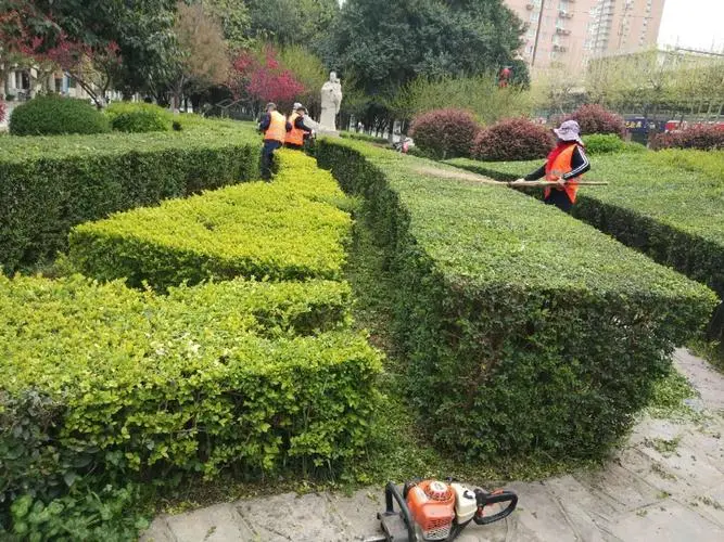 大同假树园林景观设计